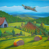 buzzing the farm