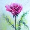 Rose posy flowers aceo painting
