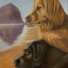 Cannon Beach Canines
