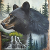 Great Smoky Mountain collage 