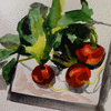 Radishes