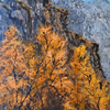A  Blaze on gold mountain 