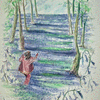Running through the Blue Bells