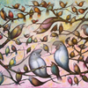 Birds Songs
