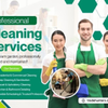 Home Cleaning Company Near Me | Professional House Cleaning Services