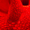 R is for Red