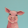 Baby Pig