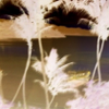 20260608 130549(1) Burst10