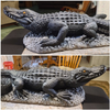 Alligator