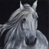 Horse portrait on black velvet