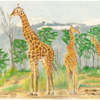 Giraffe Triology