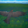 in flight