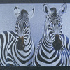 Two of a Kind -Zebra
