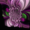 167213564 mirror14