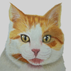 Yellow kitty Watercolor