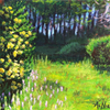 Blooming Azaleas