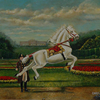  Lipizzan at the Vienna Gloriette