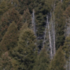 9G0A0544