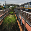 Morning at the Train Depot - June 23 2026