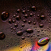 Crexis
