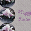 Happy Easter