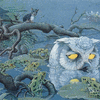 White owl blue mouse