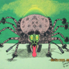 Stink Bug