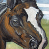 Stallion Closeup