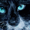 Big blue