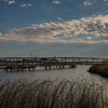 Marina Morning - September 2  2025