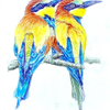 European Bee Eaters