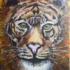 Tiger,tiger burning bright