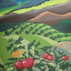 tomatoes