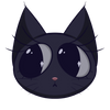 Salem the Black Cat