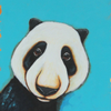 Panda Bear