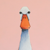 Little Duck