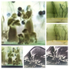 20260518 170350-COLLAGE