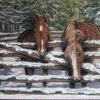 Jack's Horses