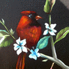 The Cardinal