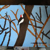 wood pecker