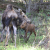 starved mother & child