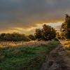 Dawn along the Shoreline Trail - August 20  2026