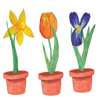 Calong SpringFlowers Stickers