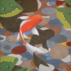 orange koi