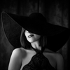 Shadowed Poise