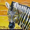 Zebra overlooking Sunset