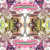 1735009392 mirror3