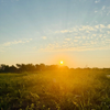 Sunrise on Texas Prairie