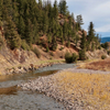 where is your fly rod ?