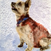 Chester Hand Colored Photograph